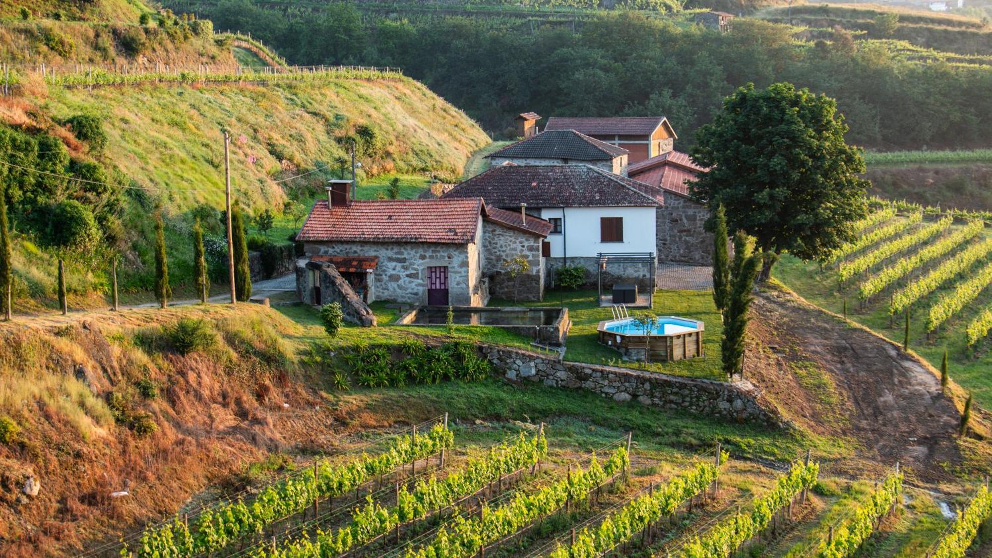 The Farmhouse I - Uma Quinta Deslumbrante Felgueiras Exterior photo